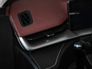 2021 2.0T ԄMax п؅^