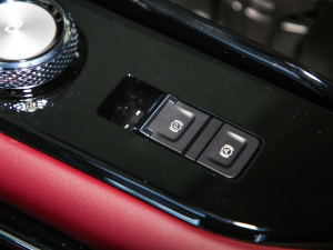 2021 2.0T ԄMax v܇Ƅ