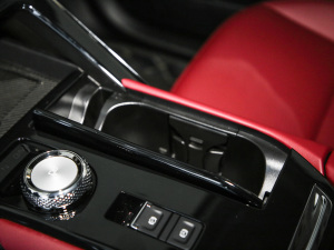 2021 2.0T ԄMax п؅^