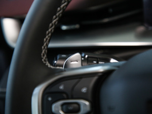 2021 2.0T ԄMax п؅^