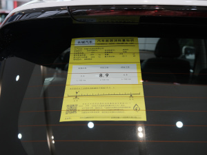 2021 2.0T Ԅ(dng)(q)Max 