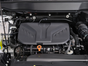 2021 2.0T Ԅ(dng)(q)Max 