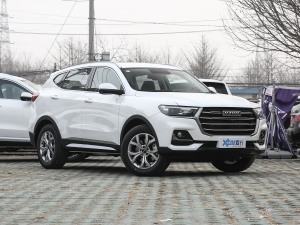 2021款国潮版 1.5T 自动冠军版 整体外观