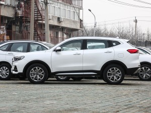 2021款国潮版 1.5T 自动冠军版 正侧（左）