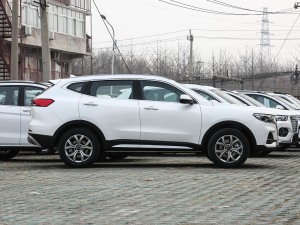 2021款国潮版 1.5T 自动冠军版 整体外观