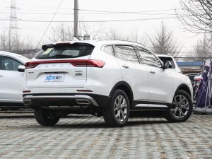 2021款国潮版 1.5T 自动冠军版 整体外观