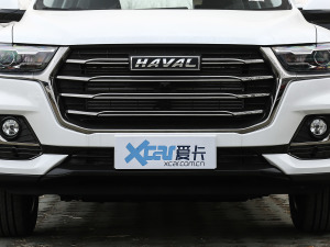2021款国潮版 1.5T 自动冠军版 中网