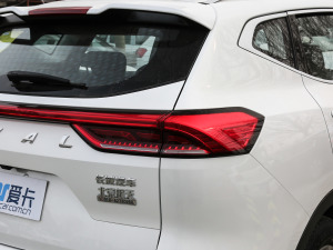 2021款国潮版 1.5T 自动冠军版 细节外观