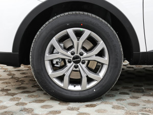 2021款国潮版 1.5T 自动冠军版 轮圈