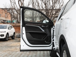 2021款国潮版 1.5T 自动冠军版 驾驶位车门