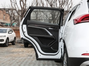 2021款国潮版 1.5T 自动冠军版 左后车门