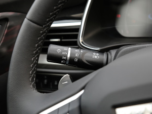 2021款国潮版 1.5T 自动冠军版 中控区