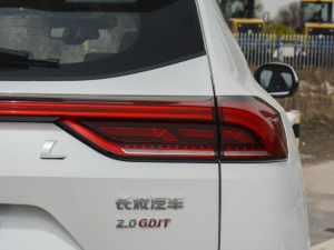 2021款国潮版 2.0GDIT 自动冠军版 尾灯