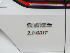 2021款国潮版 2.0GDIT 自动冠军版 细节外观