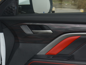 2021 2.0GDIT Ԅӹ܊ g