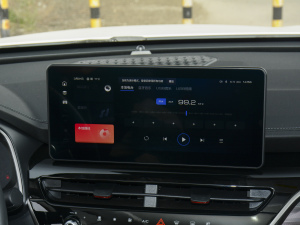 2021款国潮版 2.0GDIT 自动冠军版 音响调节