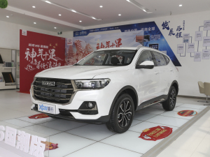 2021款国潮版 1.5T 自动都市版 左前45度