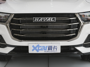 2021款国潮版 1.5T 自动都市版 中网