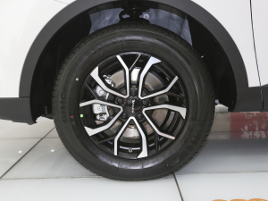 2021款国潮版 1.5T 自动都市版 轮圈