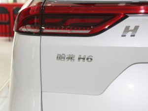 2021款国潮版 1.5T 自动都市版 细节外观