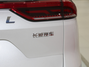 2021款国潮版 1.5T 自动都市版 细节外观