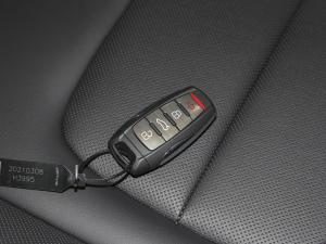 2021 1.5T ԄӶа ܇耳