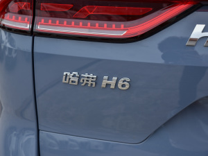 2021款国潮版 1.5GDIT 自动豪华版 细节外观