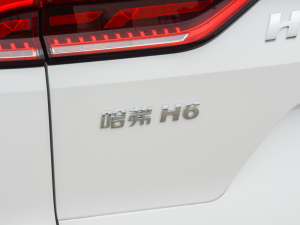 2021款国潮版 1.5GDIT 自动超豪版 细节外观