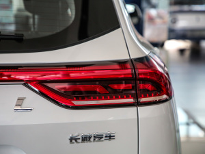 2021款国潮版 1.5GDIT 自动冠军版 尾灯