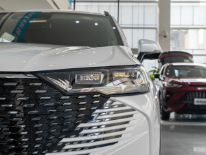 2021 2.0T ԄSupreme+ ^