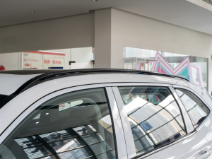 2021 2.0T Ԅ(q)Supreme+ (x)(ji)^