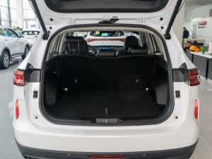 2021 2.0T ԄSupreme+ g