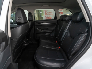 2021 2.0T ԄSupreme+ g