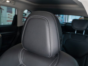 2021 2.0T ԄSupreme+ g