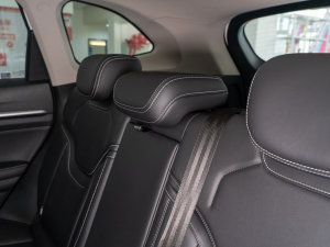 2021 2.0T ԄSupreme+ g