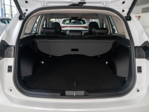 2021 2.0T ԄSupreme+ g