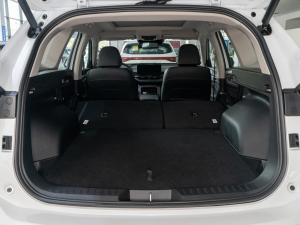 2021 2.0T ԄSupreme+ g