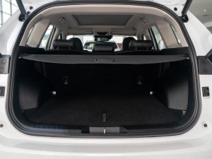 2021 2.0T ԄSupreme+ g