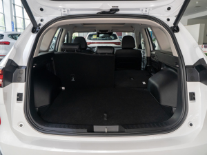 2021 2.0T ԄSupreme+ g