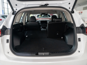 2021 2.0T ԄSupreme+ g