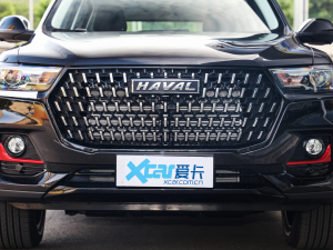 2021款国潮版 2.0GDIT 自动GT版 中网