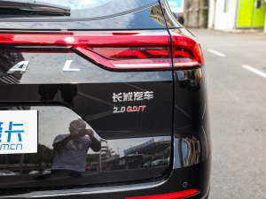 2021(gu) 2.0GDIT Ԅ(dng)GT (x)(ji)^