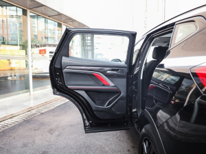 2021 2.0GDIT ԄGT ܇T