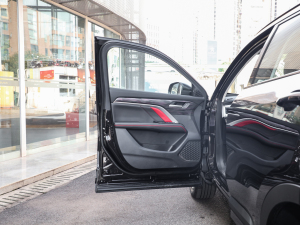 2021 2.0GDIT ԄGT {λ܇T