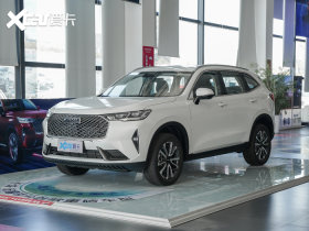 【哈弗h62021款第三代 1.5t 自动两驱pro】报价_图片