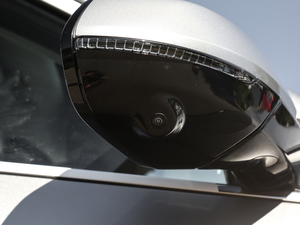 20211.5T (q)i (x)(ji)^