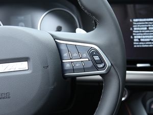 20211.5T (q)i п؅^(q)