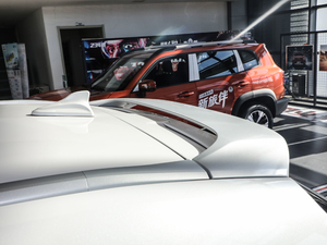 2021款2.0T 两驱i动 细节外观