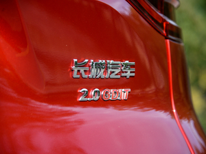 2021款2.0T 两驱极智科技版 细节外观