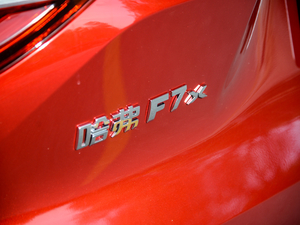 2021款2.0T 两驱极智科技版 细节外观